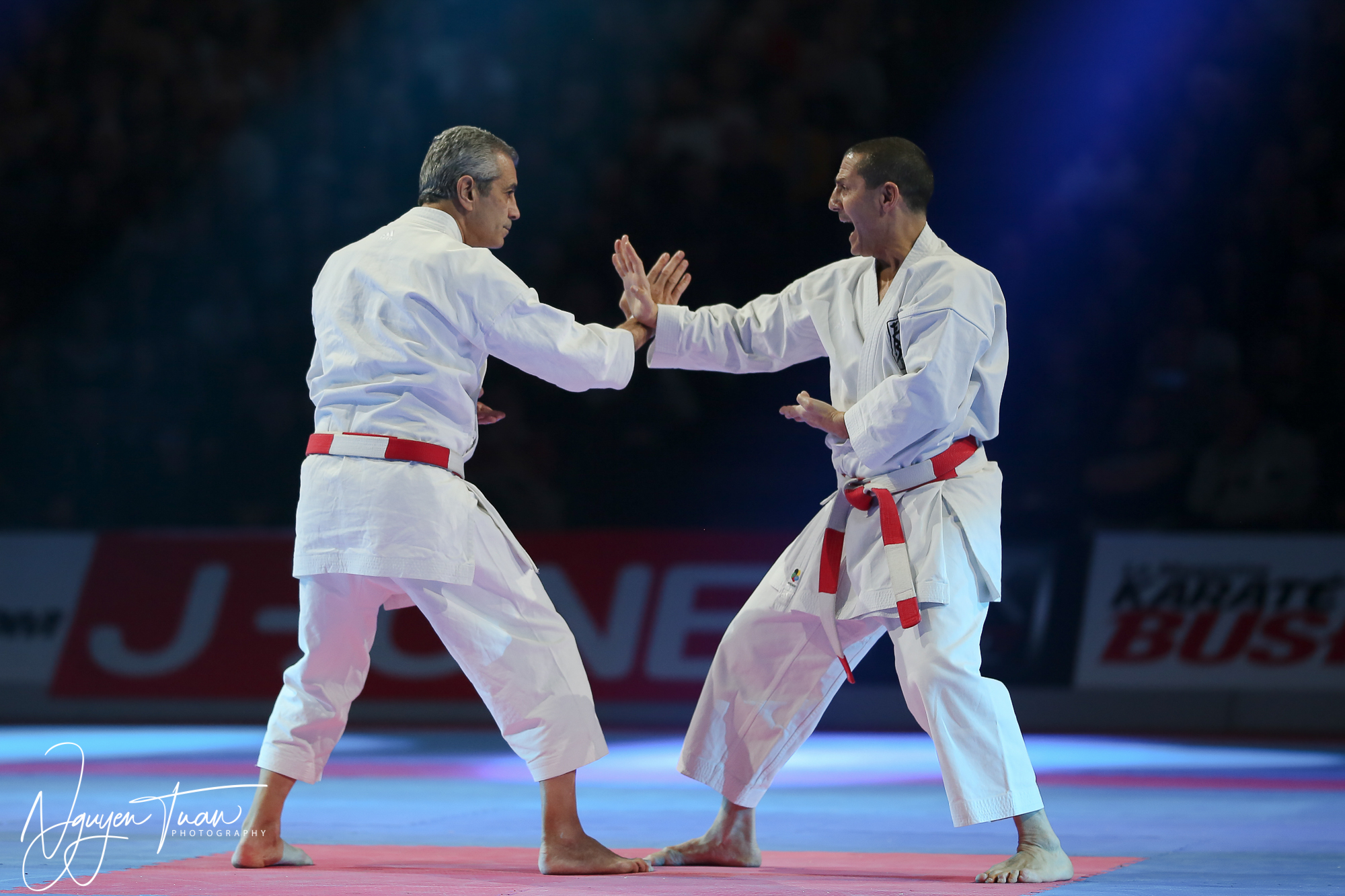 20190324 Festival des Arts Martiaux 3707